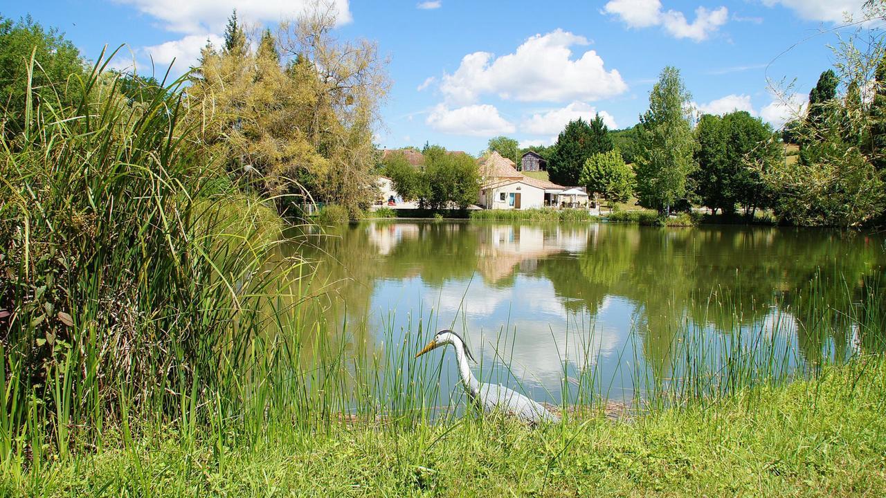 Le Domaine De L'Etang De Sandanet Issac Bagian luar foto