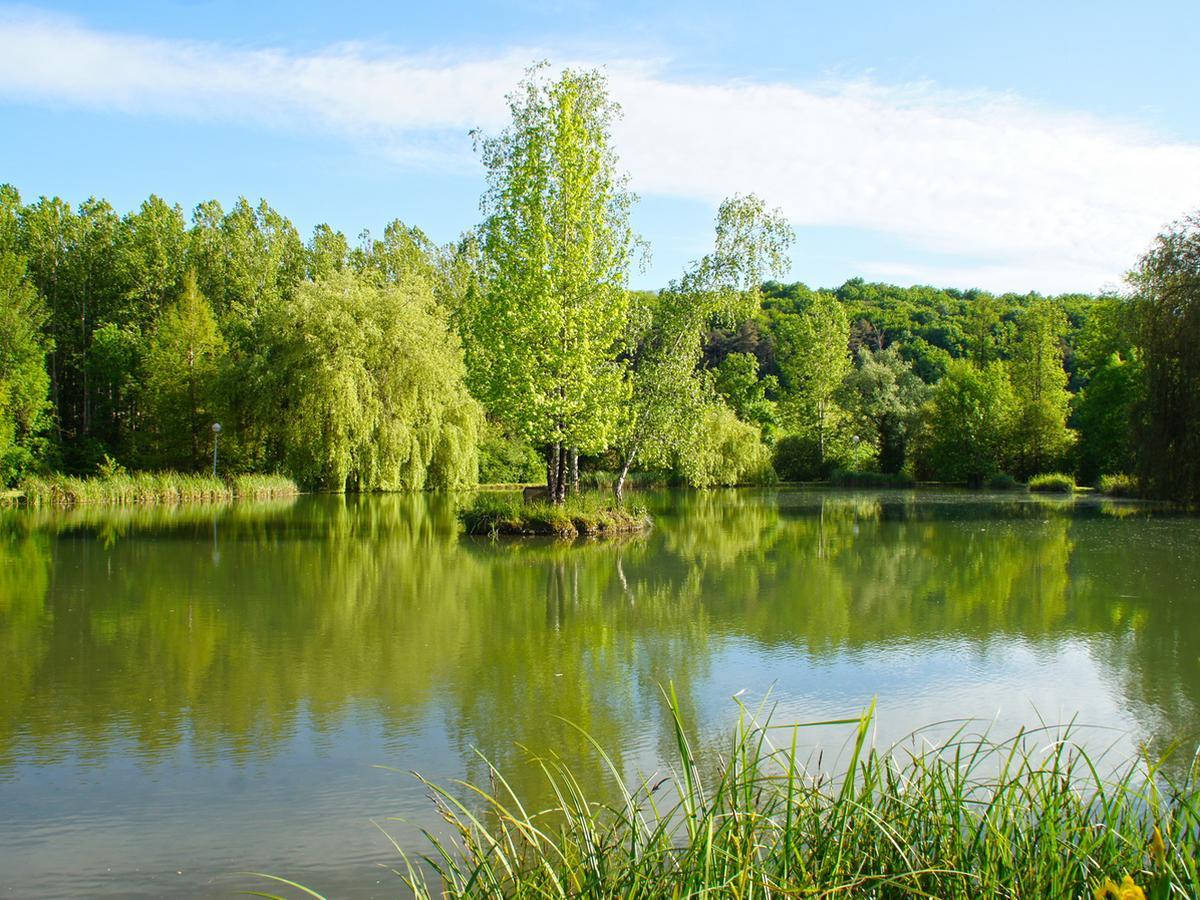 Le Domaine De L'Etang De Sandanet Issac Bagian luar foto